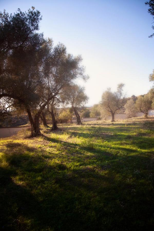 Finca Palmers Dos Mijas Eksteriør bilde